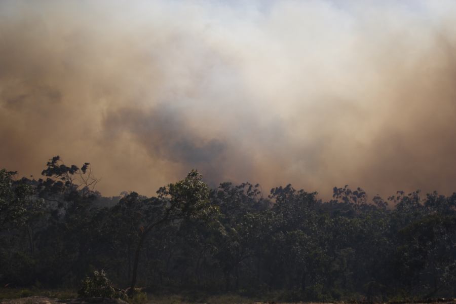 bushfire wild_fire : Pacific Park, NSW   24 September 2006