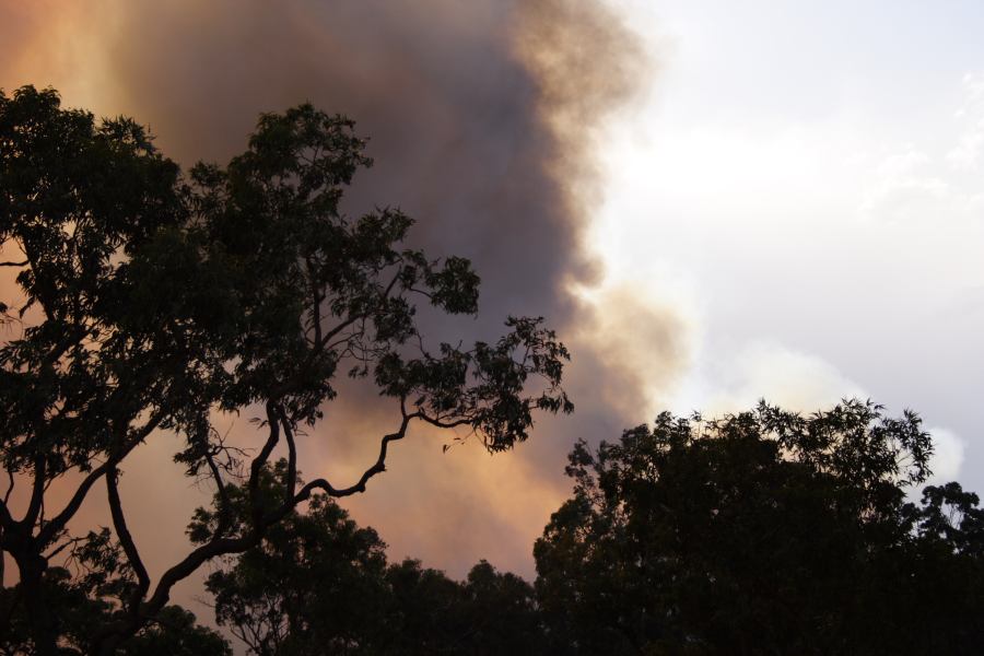 bushfire wild_fire : Pacific Park, NSW   24 September 2006