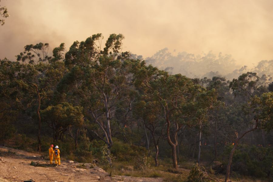 bushfire wild_fire : Pacific Park, NSW   24 September 2006