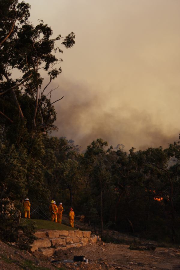 bushfire wild_fire : Pacific Park, NSW   24 September 2006