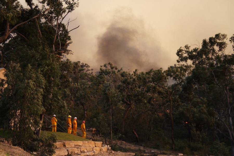 bushfire wild_fire : Pacific Park, NSW   24 September 2006