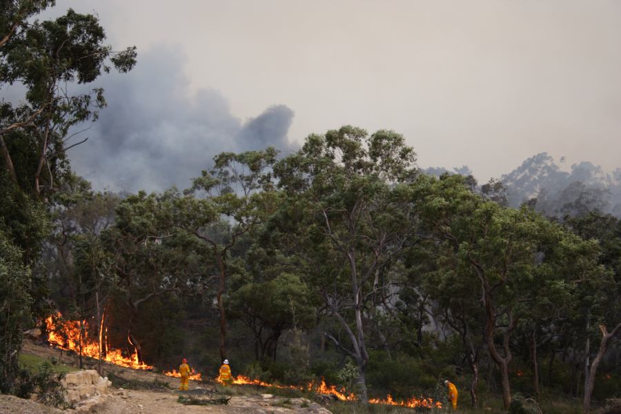 bushfire wild_fire : Pacific Park, NSW   24 September 2006