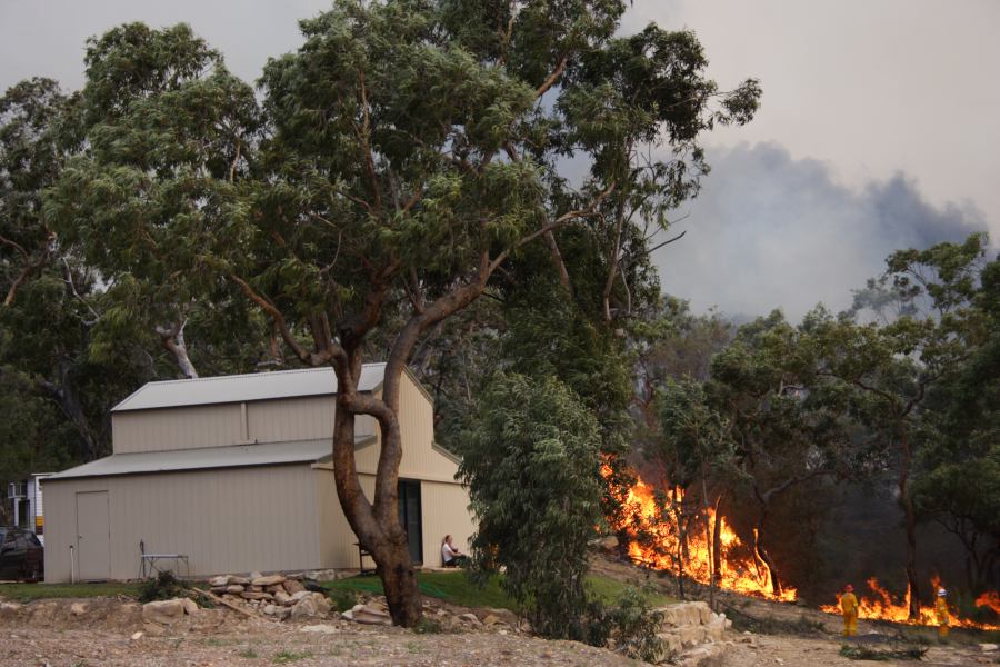 bushfire wild_fire : Pacific Park, NSW   24 September 2006