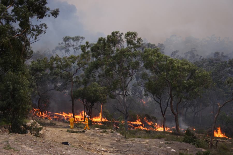 bushfire wild_fire : Pacific Park, NSW   24 September 2006