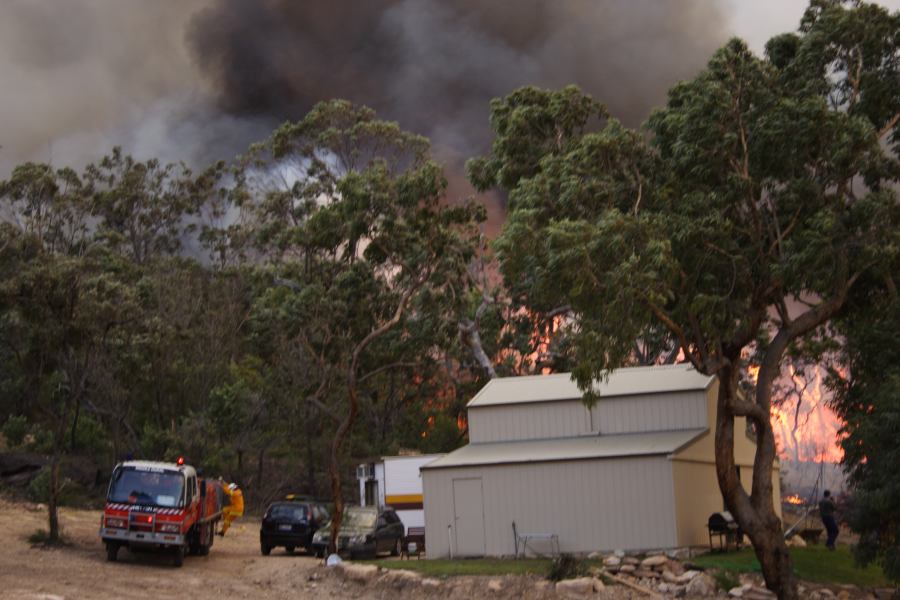 bushfire wild_fire : Pacific Park, NSW   24 September 2006