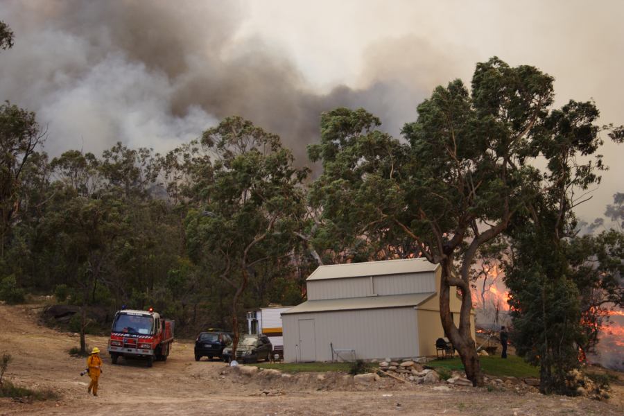 bushfire wild_fire : Pacific Park, NSW   24 September 2006