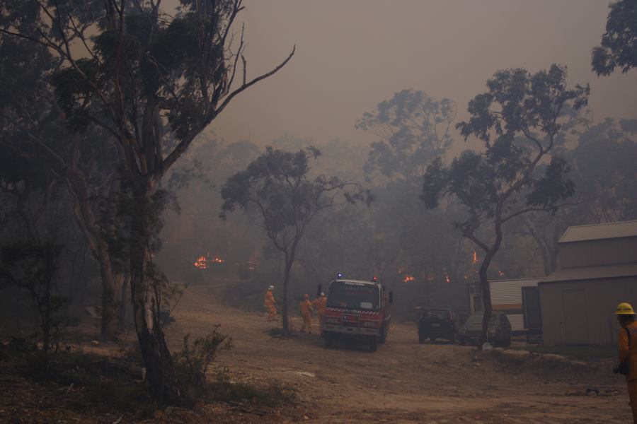 bushfire wild_fire : Pacific Park, NSW   24 September 2006