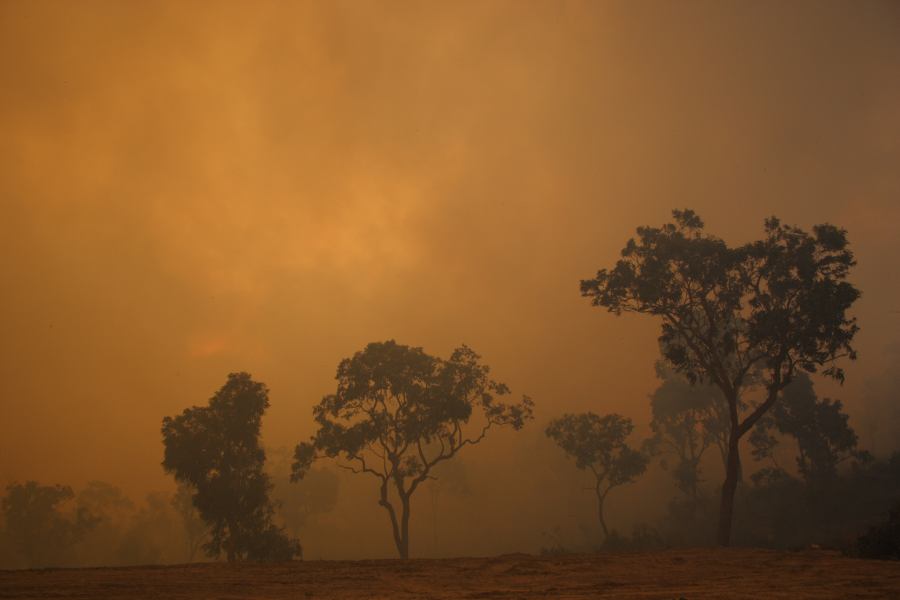 bushfire wild_fire : Pacific Park, NSW   24 September 2006