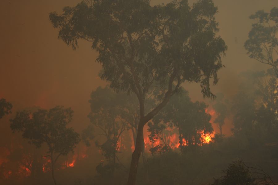 bushfire wild_fire : Pacific Park, NSW   24 September 2006