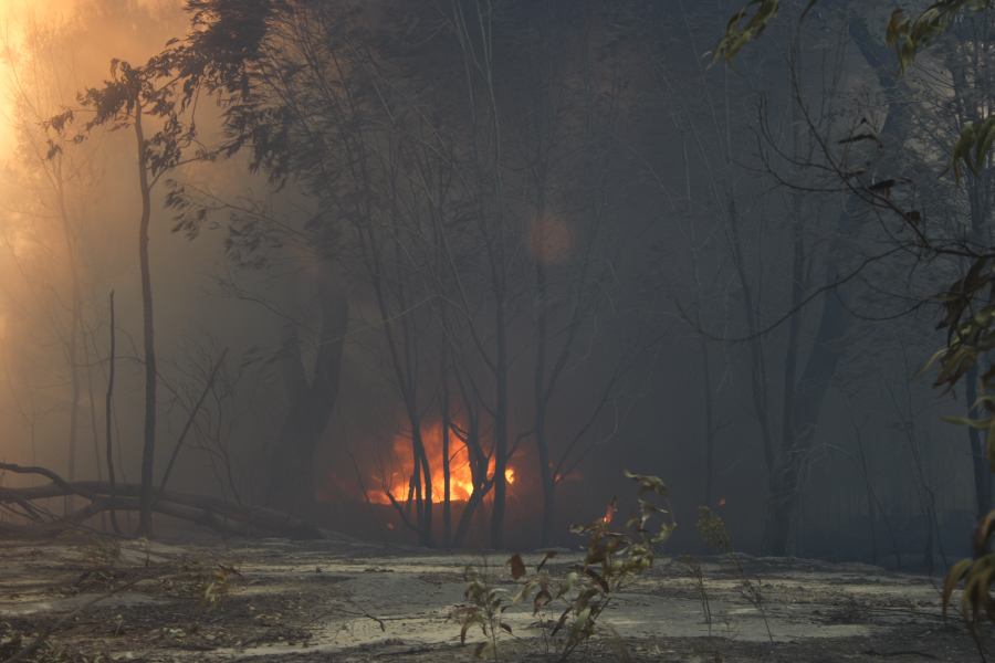 bushfire wild_fire : Pacific Park, NSW   24 September 2006