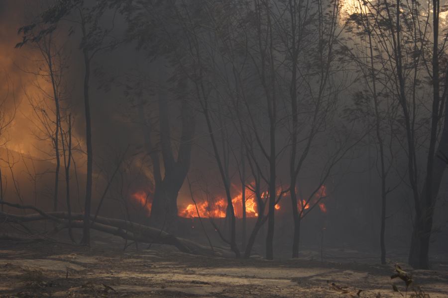 bushfire wild_fire : Pacific Park, NSW   24 September 2006