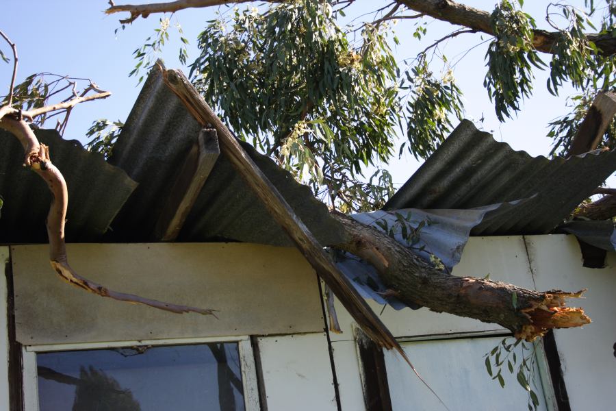 disasters storm_damage : Londonderry, NSW   25 September 2006