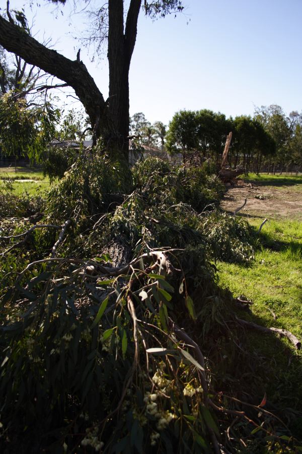 disasters storm_damage : Londonderry, NSW   25 September 2006