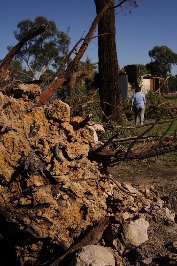 disasters storm_damage : Londonderry, NSW   25 September 2006