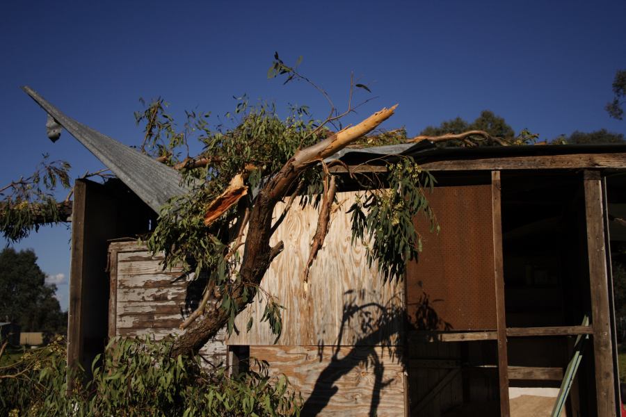 disasters storm_damage : Londonderry, NSW   25 September 2006