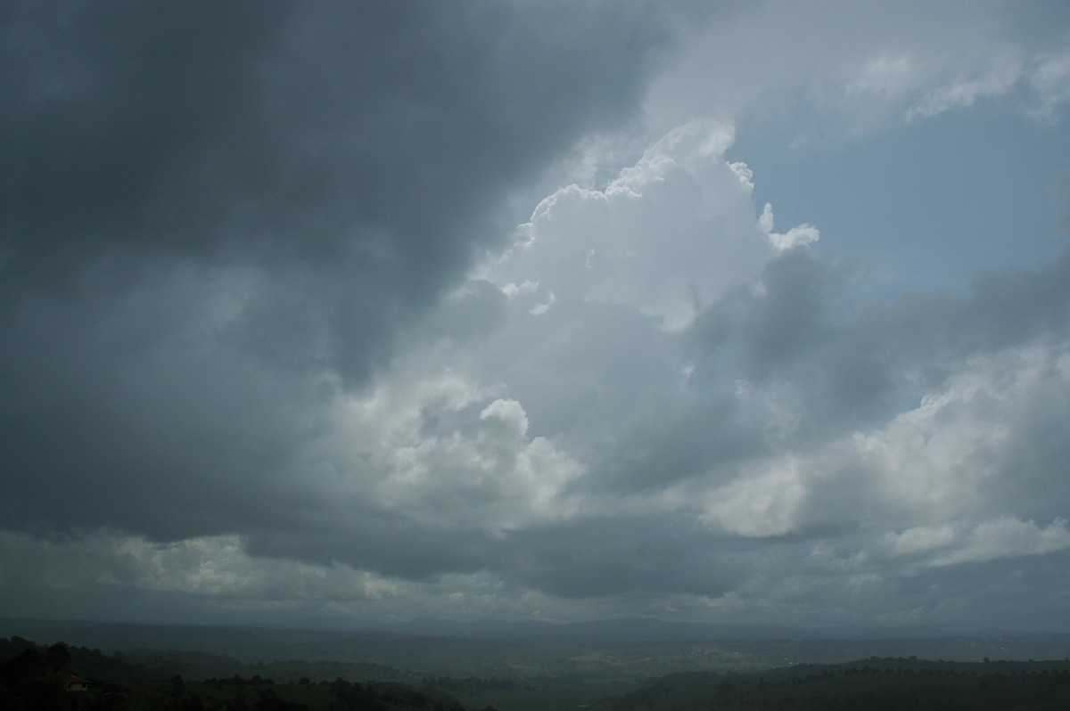 cumulus congestus : McLeans Ridges, NSW   27 September 2006