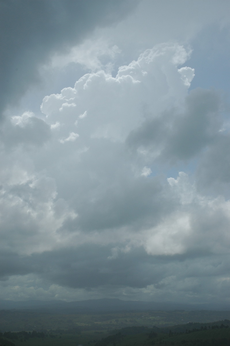 cumulus congestus : McLeans Ridges, NSW   27 September 2006