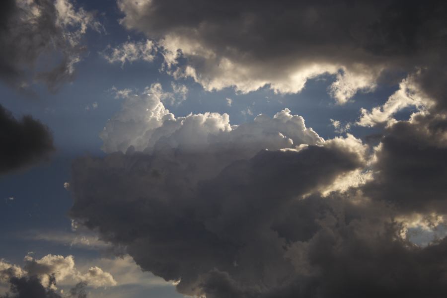 cumulus congestus : near Picton, NSW   31 October 2006