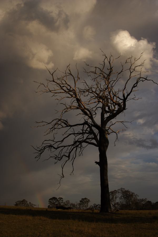 rainbow rainbow_pictures : near Picton, NSW   31 October 2006