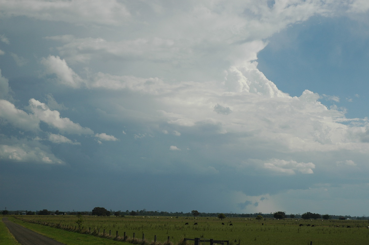 wallcloud thunderstorm_wall_cloud : McKees Hill, NSW   1 November 2006