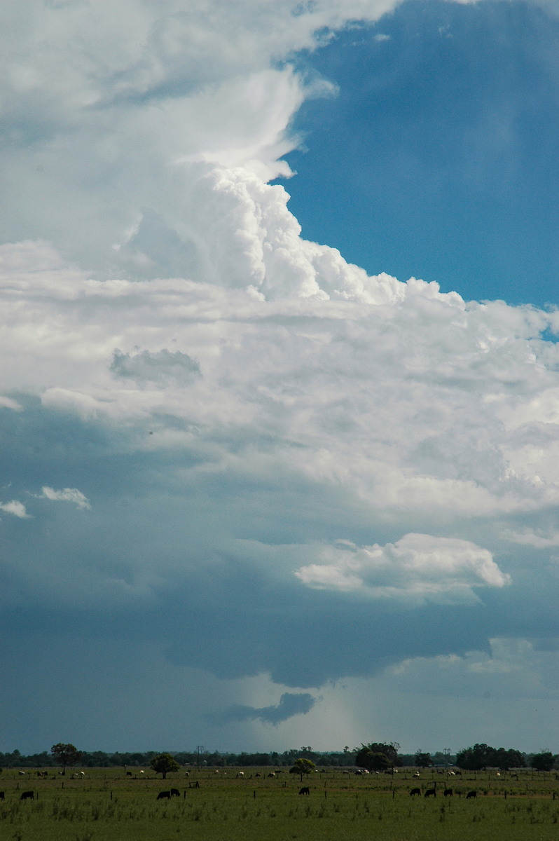 updraft thunderstorm_updrafts : McKees Hill, NSW   1 November 2006