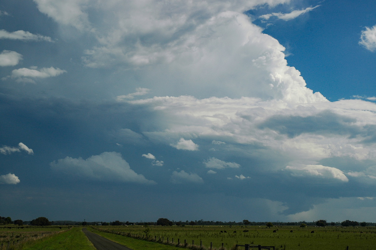 wallcloud thunderstorm_wall_cloud : McKees Hill, NSW   1 November 2006