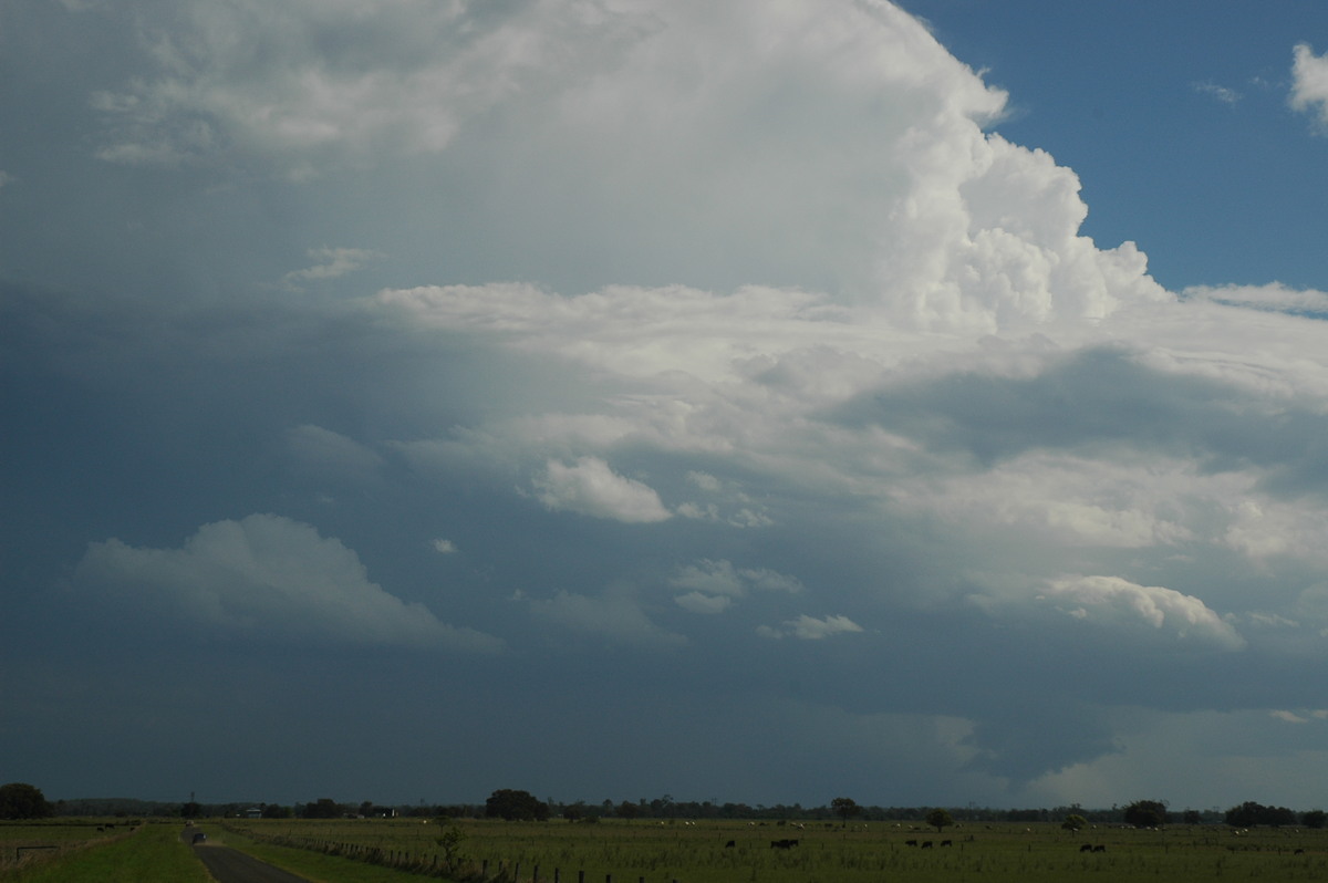 updraft thunderstorm_updrafts : McKees Hill, NSW   1 November 2006