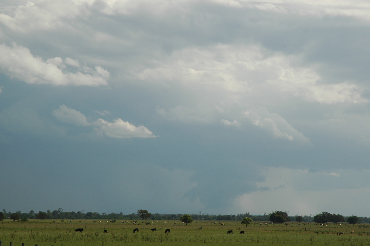 wallcloud thunderstorm_wall_cloud : McKees Hill, NSW   1 November 2006