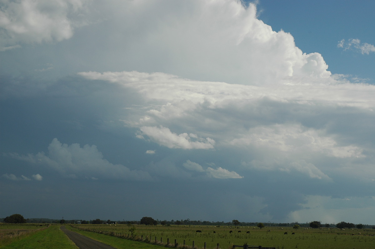 wallcloud thunderstorm_wall_cloud : McKees Hill, NSW   1 November 2006