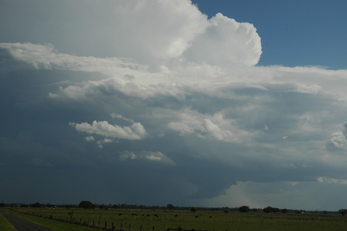 wallcloud thunderstorm_wall_cloud : McKees Hill, NSW   1 November 2006