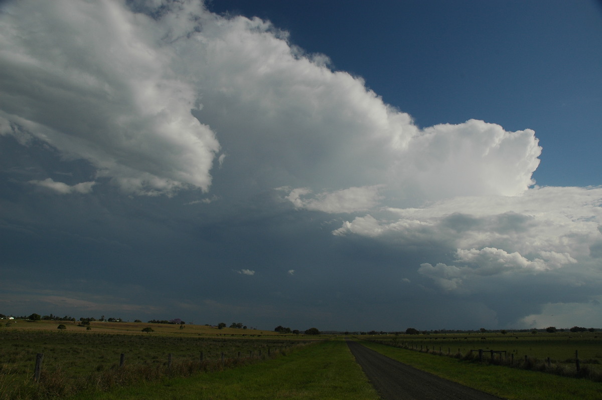 wallcloud thunderstorm_wall_cloud : McKees Hill, NSW   1 November 2006