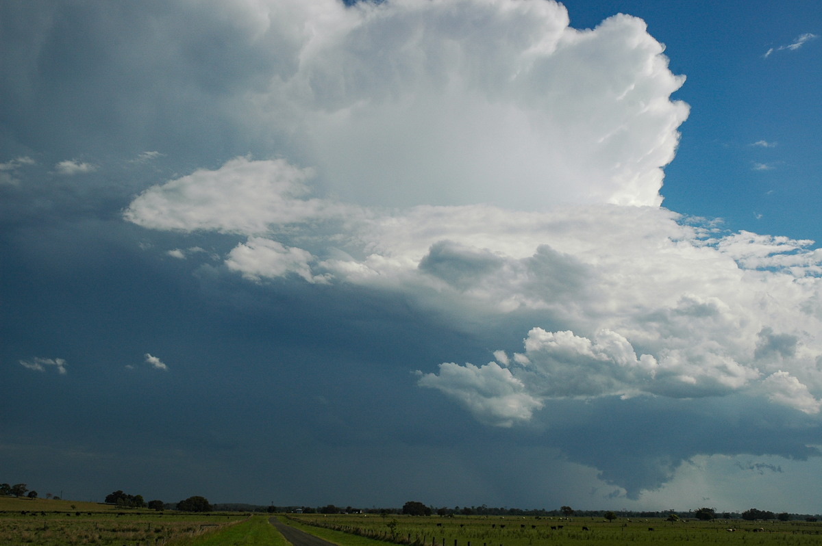 wallcloud thunderstorm_wall_cloud : McKees Hill, NSW   1 November 2006