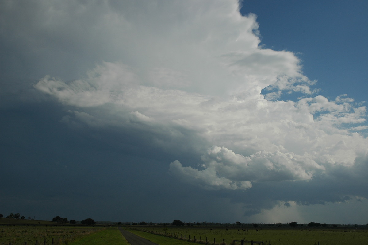 wallcloud thunderstorm_wall_cloud : McKees Hill, NSW   1 November 2006