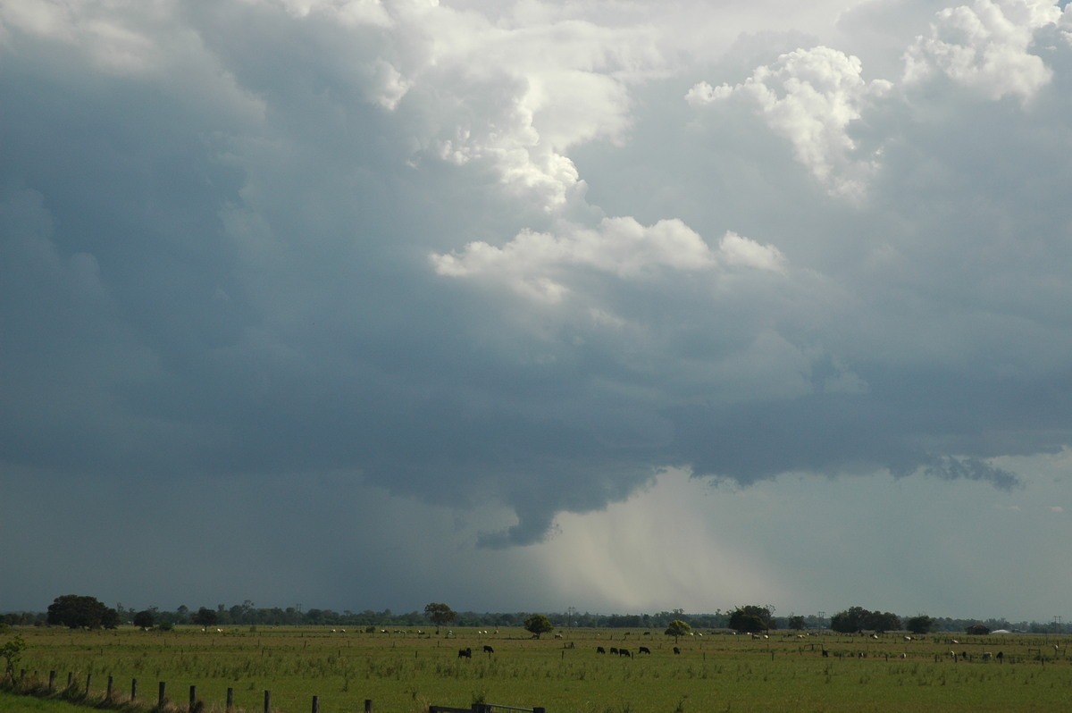 raincascade precipitation_cascade : McKees Hill, NSW   1 November 2006