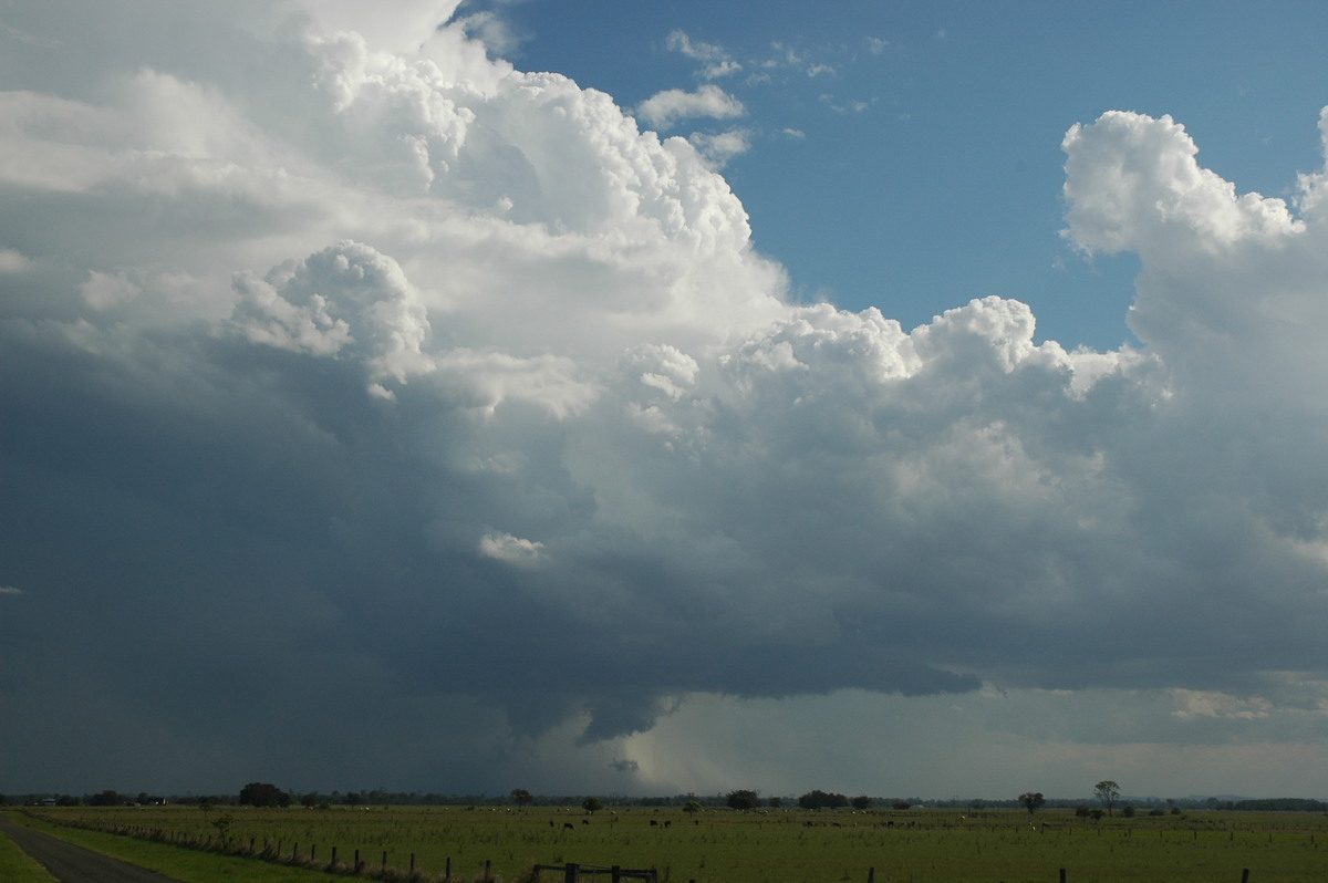 wallcloud thunderstorm_wall_cloud : McKees Hill, NSW   1 November 2006