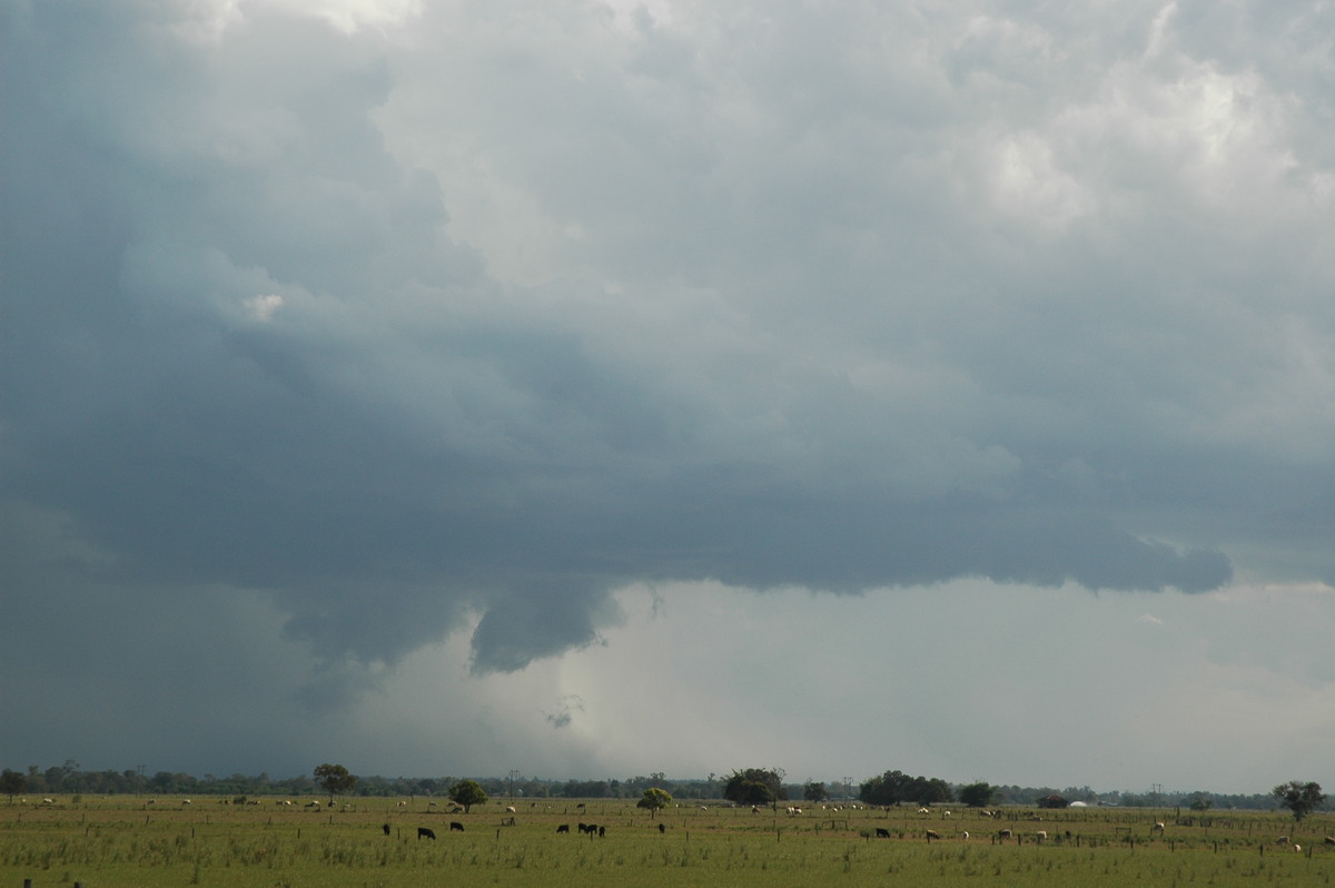 raincascade precipitation_cascade : McKees Hill, NSW   1 November 2006