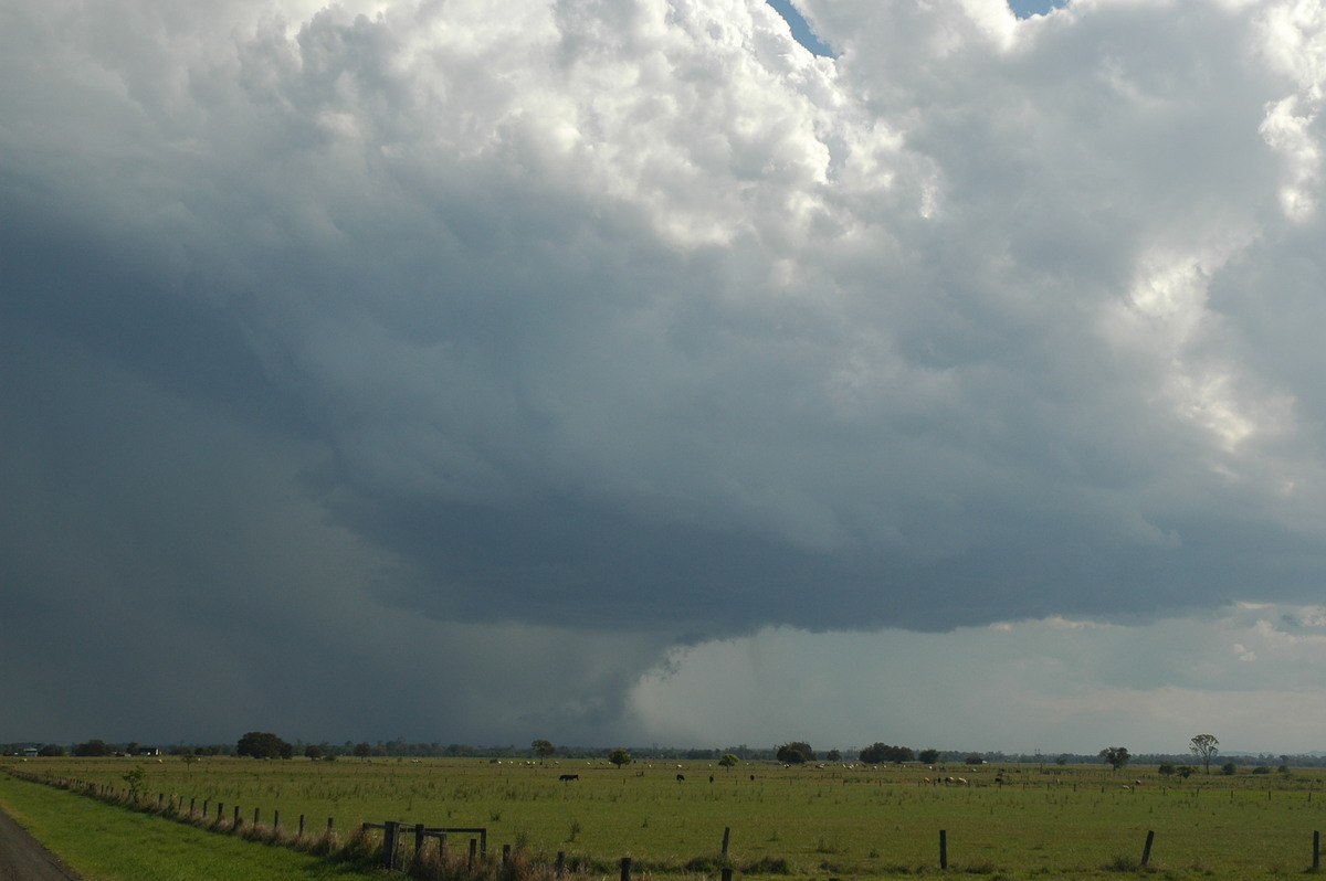 cumulonimbus thunderstorm_base : McKees Hill, NSW   1 November 2006