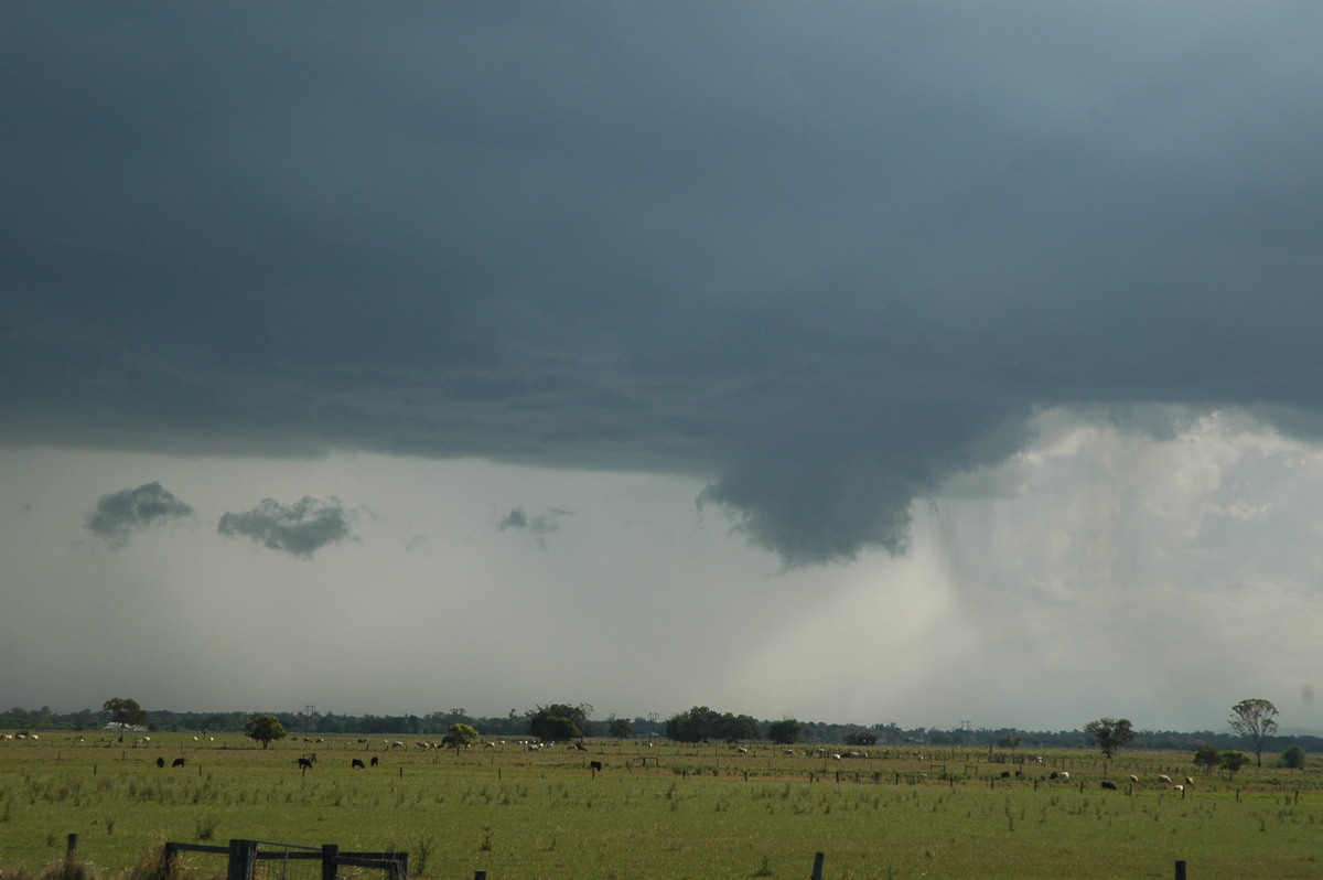 wallcloud thunderstorm_wall_cloud : McKees Hill, NSW   1 November 2006