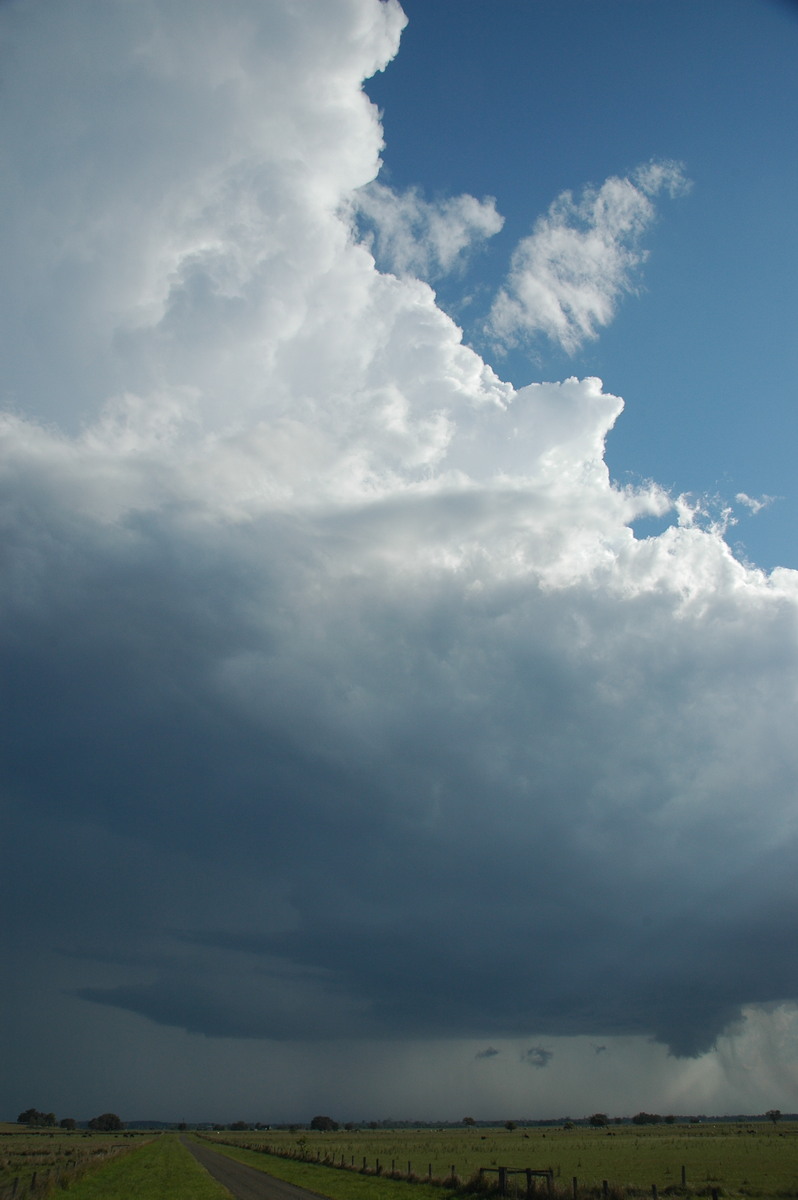 updraft thunderstorm_updrafts : McKees Hill, NSW   1 November 2006