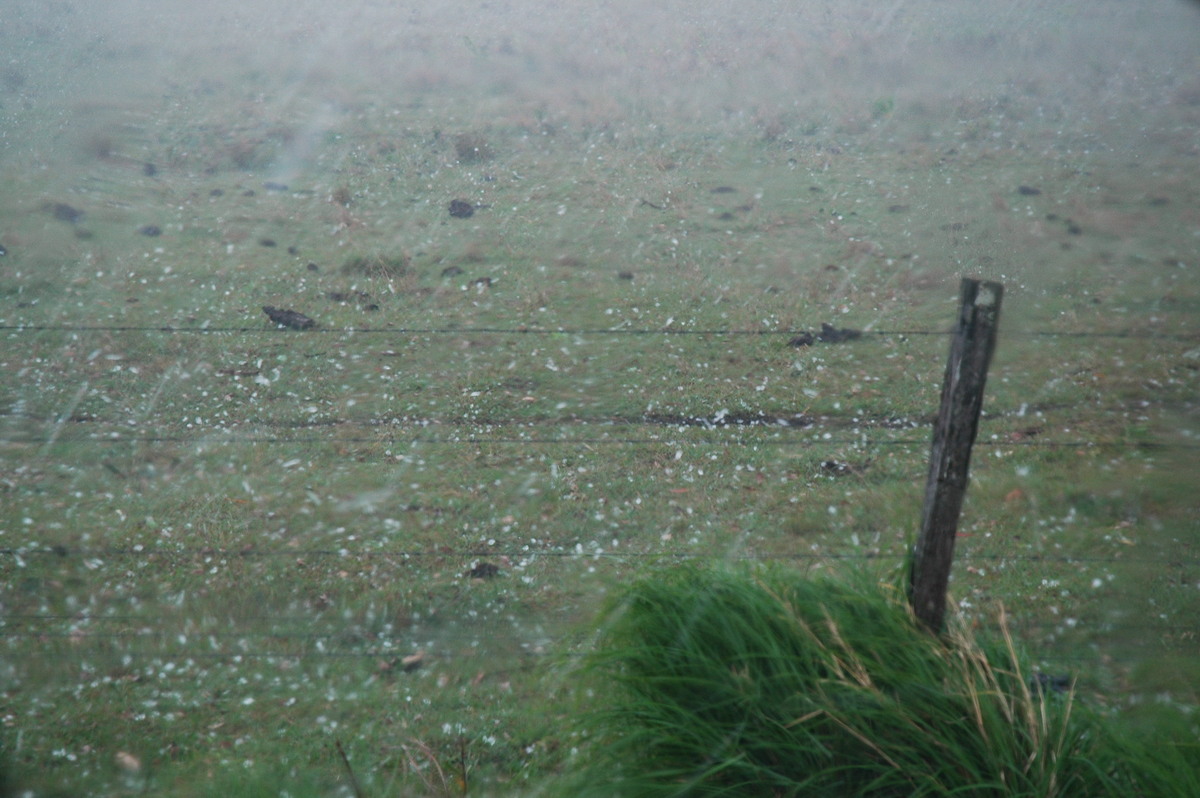 hailstones hail_stones : NE of Casino, NSW   1 November 2006