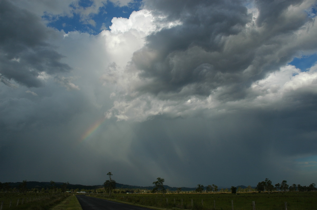 rainbow rainbow_pictures : Casino, NSW   1 November 2006