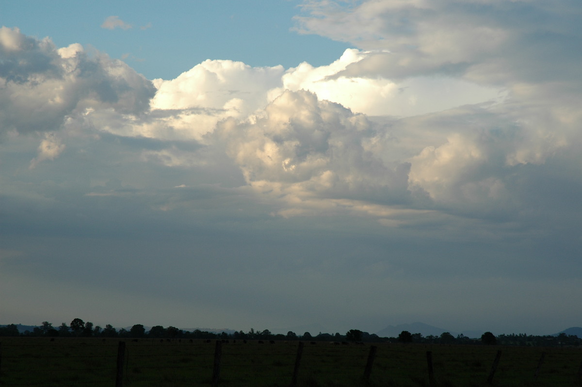 thunderstorm cumulonimbus_calvus : N of Casino, NSW   1 November 2006