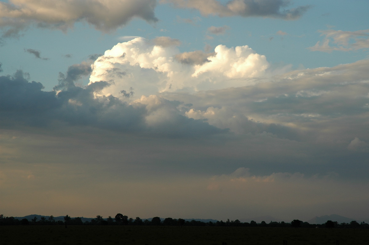 thunderstorm cumulonimbus_calvus : N of Casino, NSW   1 November 2006