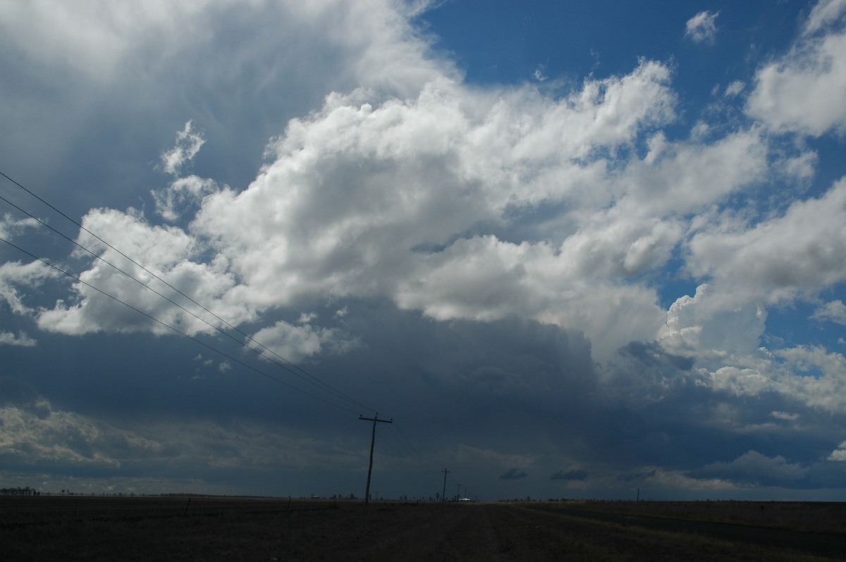 cumulus humilis : Dalby, QLD   4 November 2006