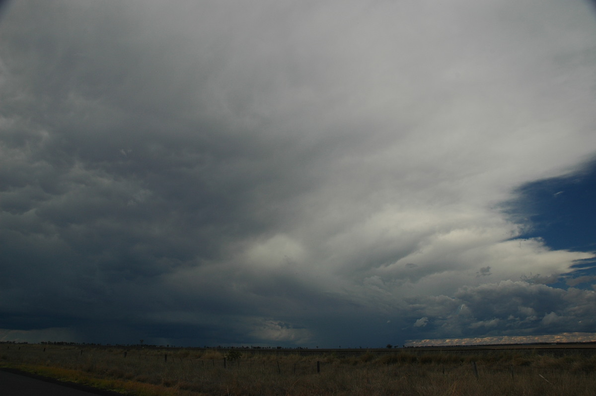 anvil thunderstorm_anvils : Dalby, QLD   4 November 2006