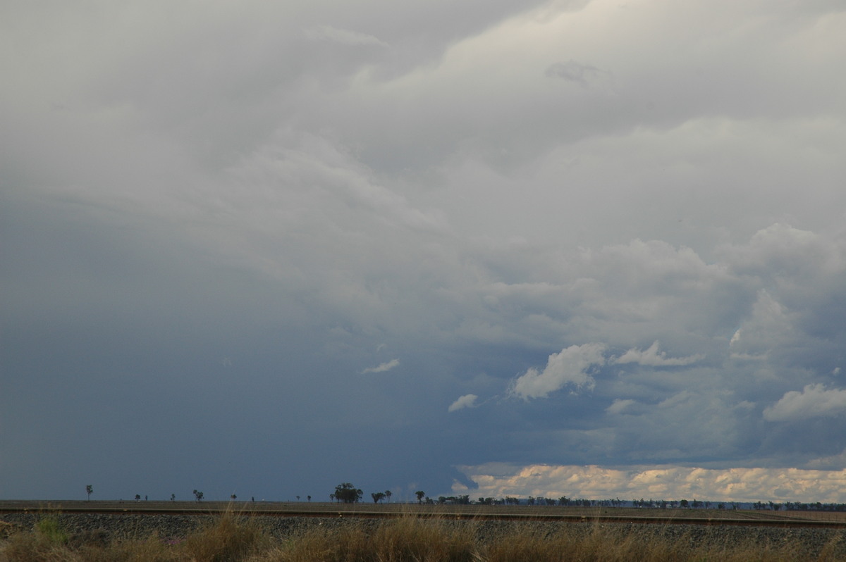 cumulonimbus thunderstorm_base : Dalby, QLD   4 November 2006