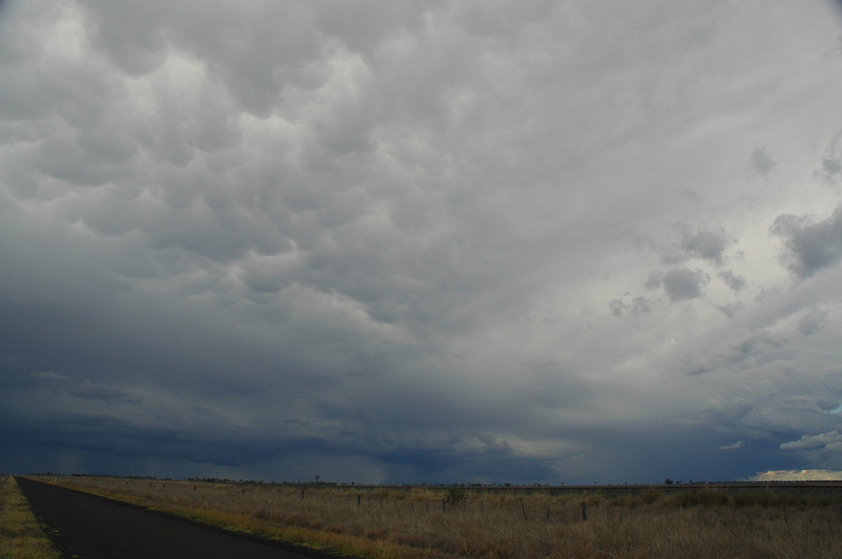 mammatus mammatus_cloud : Dalby, QLD   4 November 2006