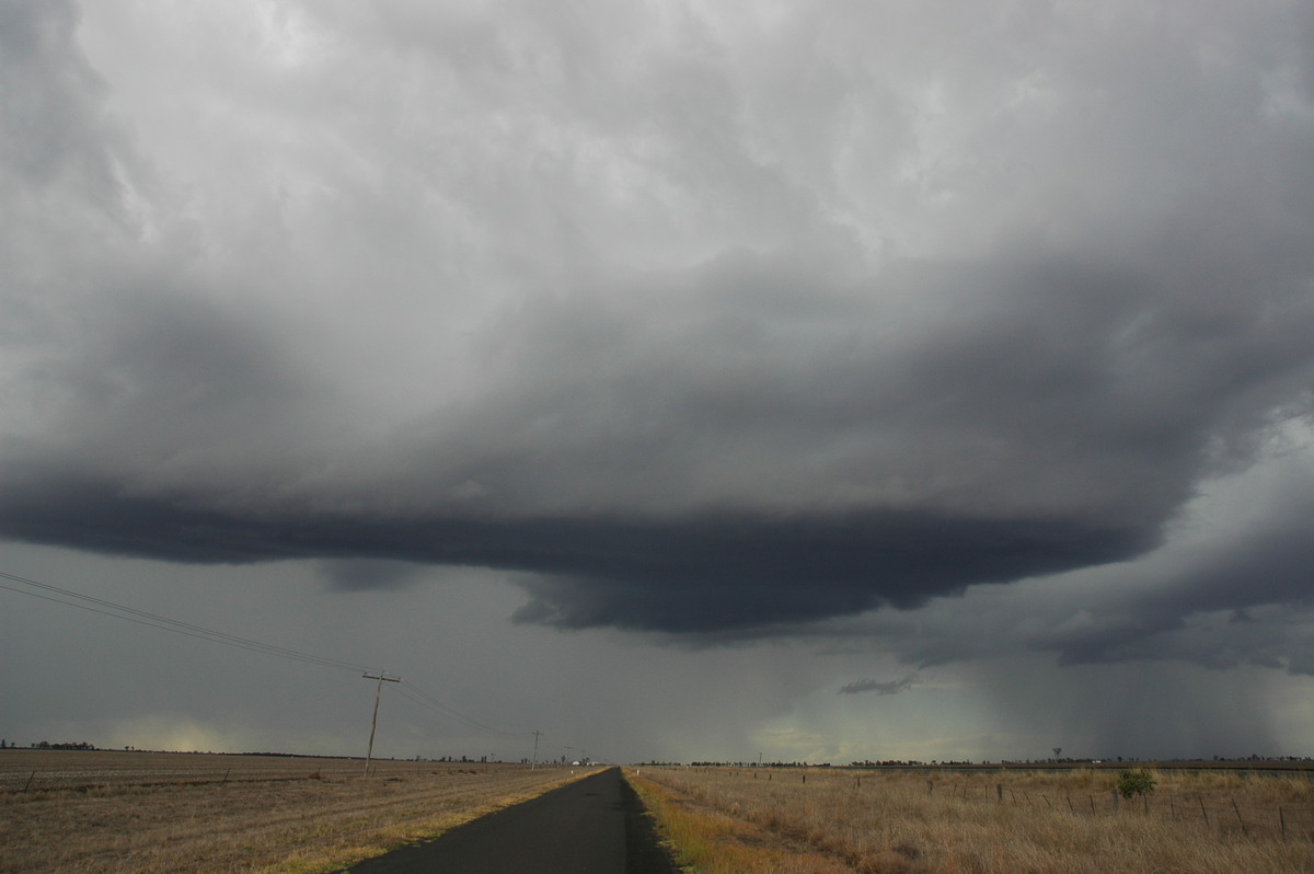 raincascade precipitation_cascade : Dalby, QLD   4 November 2006