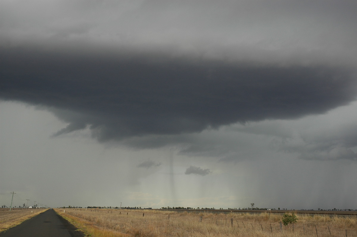 cumulonimbus thunderstorm_base : Dalby, QLD   4 November 2006