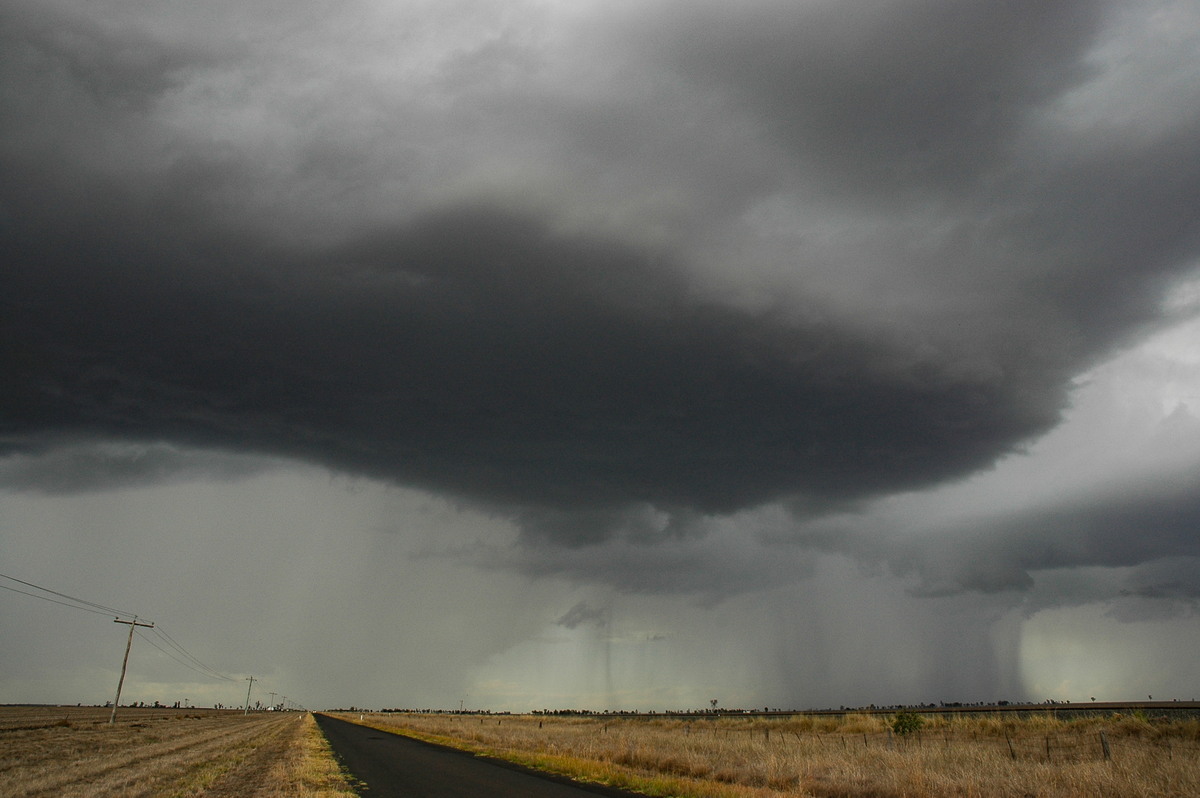 raincascade precipitation_cascade : Dalby, QLD   4 November 2006